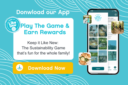 App Newsletter Bnanner (2)
