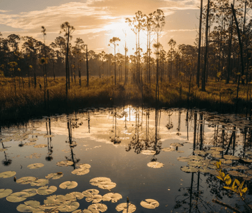 D+Ranch+Preserve_DSC08087