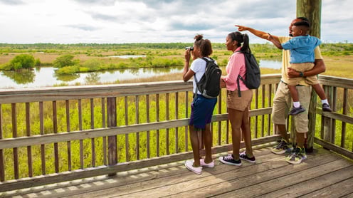 Family_Nature_Spruce_Creek-Original (4) (1) (2)