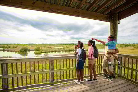 Family_Nature_Spruce_Creek-Original
