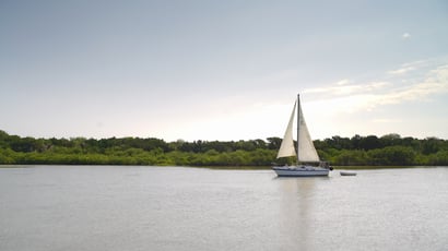 View of the Mosquito Lagoon from River Breeze Park (16) (1)