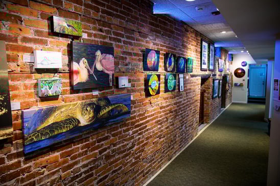 JANE'S ART CENTER in New Smyrna Beach, FL
