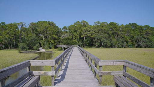 Doris Leeper Spruce Creek Preserve - New Smyrna Beach Area, FL