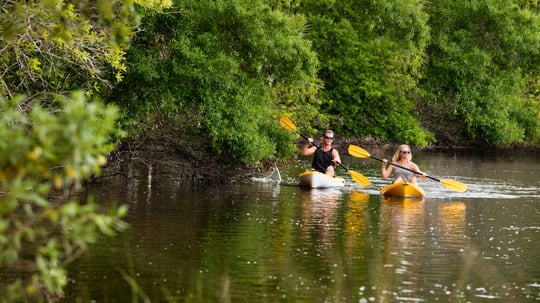 Kayaking Couple - New Smyrna Beach Area, FL