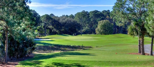 Cypress_Head_SHR_njfmx9ckIbO97jDc4Ks18q0ABlZBh