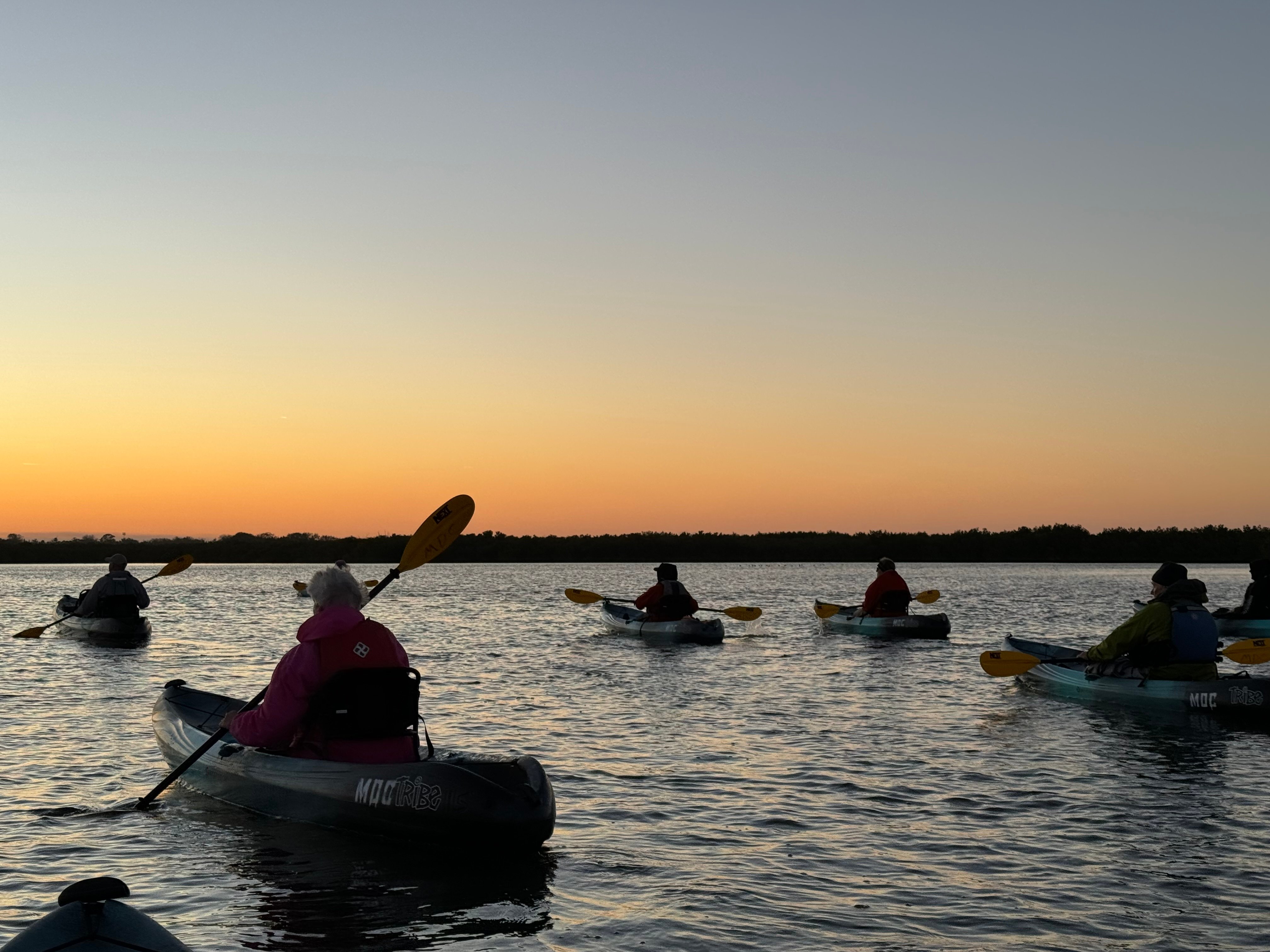Things to Do After Dark Across the New Smyrna Beach Area