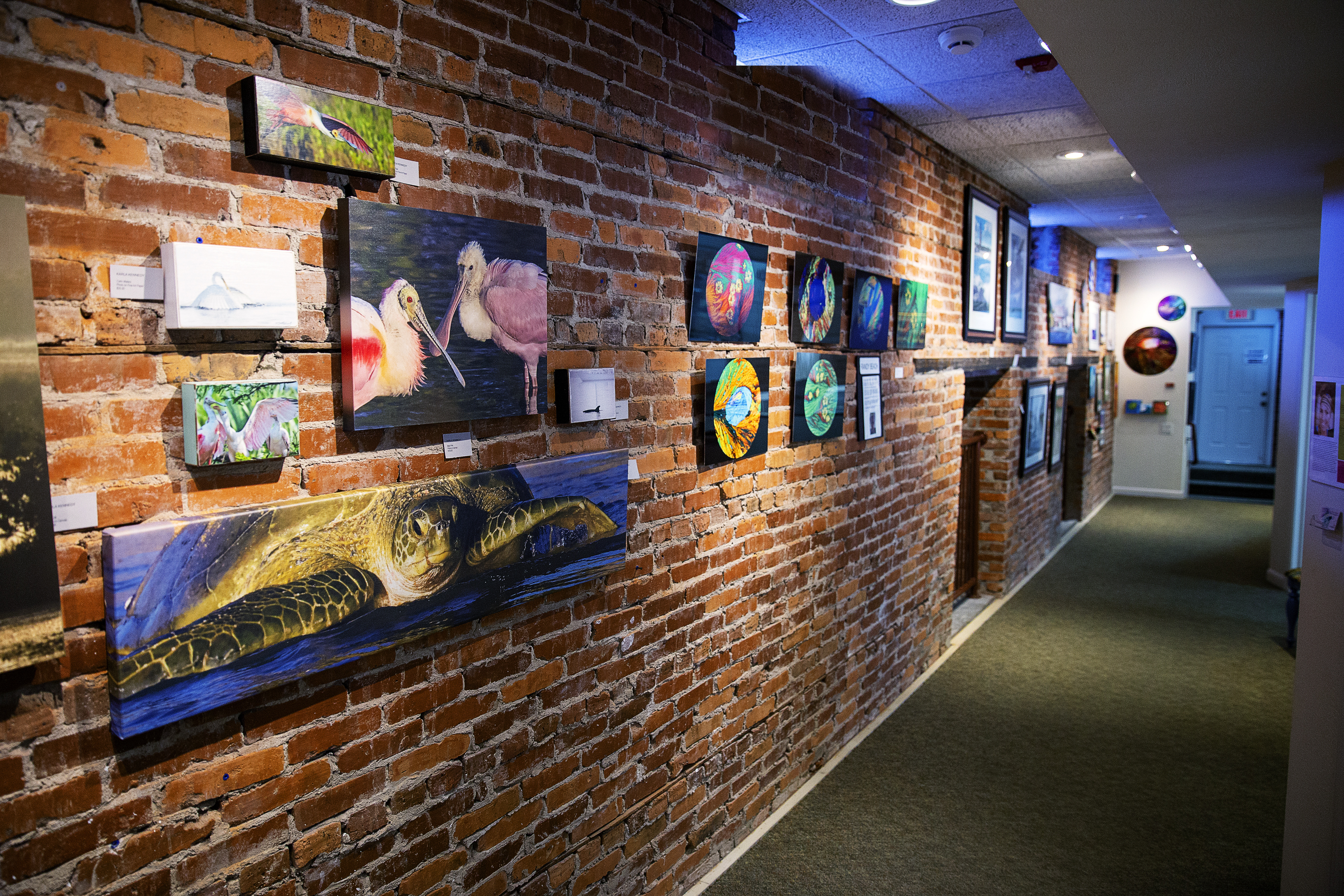 A Walk Through the Downtown Arts District